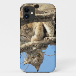 Mischievous Lynx iPhone 11 Case