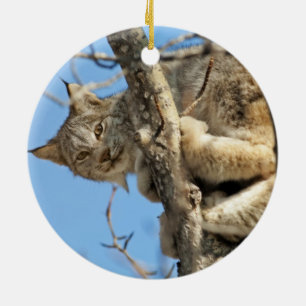 Mischievous Lynx Ceramic Tree Decoration
