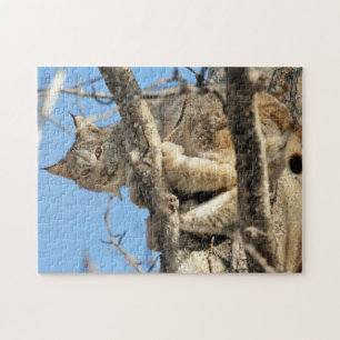 Mischievous Lynx Jigsaw Puzzle