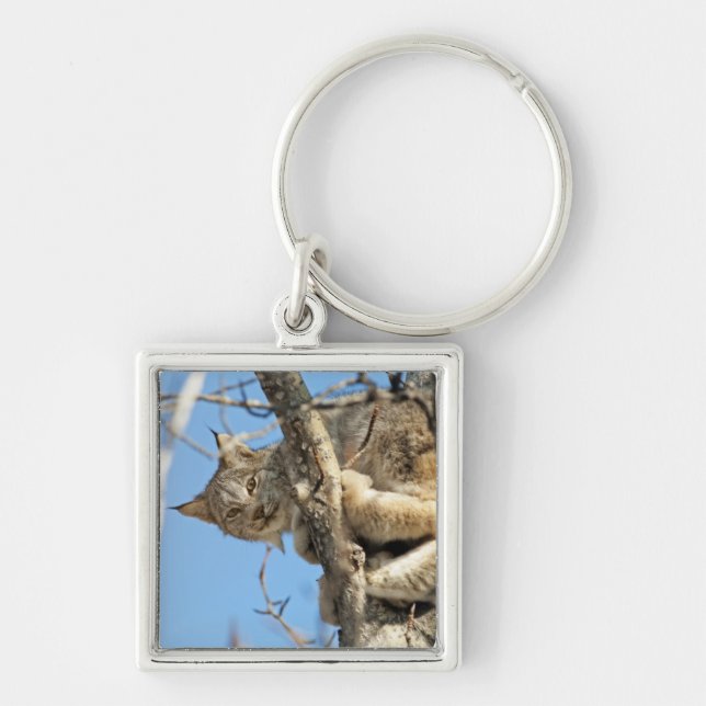 Mischievous Lynx Key Ring (Front)