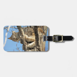 Mischievous Lynx Luggage Tag