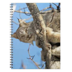 Mischievous Lynx Notebook