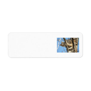 Mischievous Lynx Return Address Label