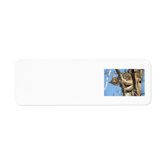 Mischievous Lynx Return Address Label (Front)