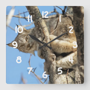 Mischievous Lynx Square Wall Clock