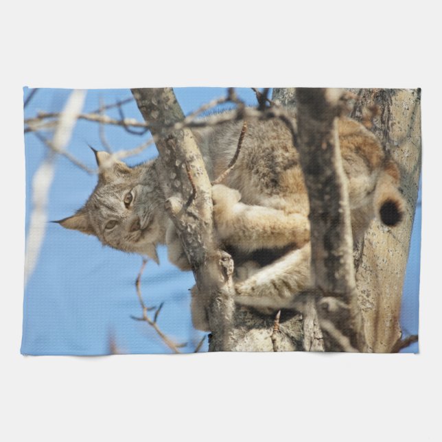 Mischievous Lynx Tea Towel (Horizontal)