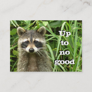 Mischievous Racoon Business Card