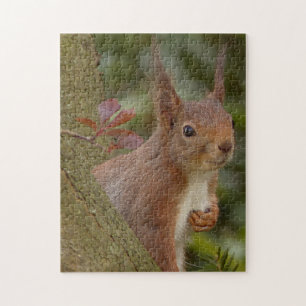 Mischievous Red Squirrel Jigsaw Puzzle