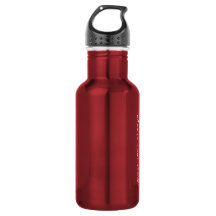 misconduct. 18oz Stainless Steel Water Bottle