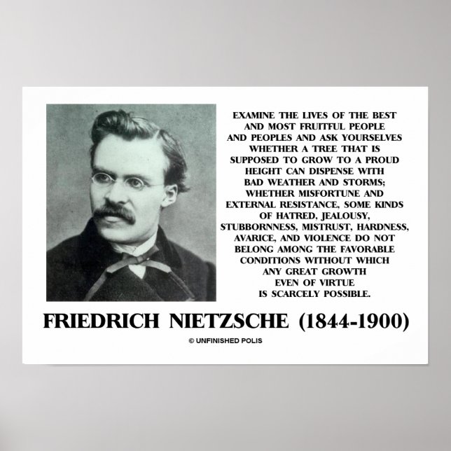 Misfortune Favourable Conditions Growth Nietzsche Poster (Front)