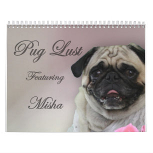 Misha for Pug Lust, pug lingerie calendar