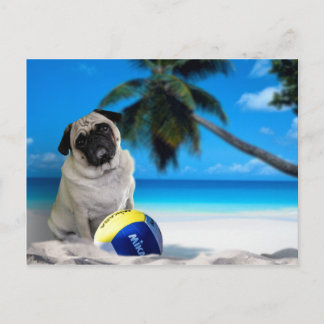 Misha Pug at the Beach Postcard