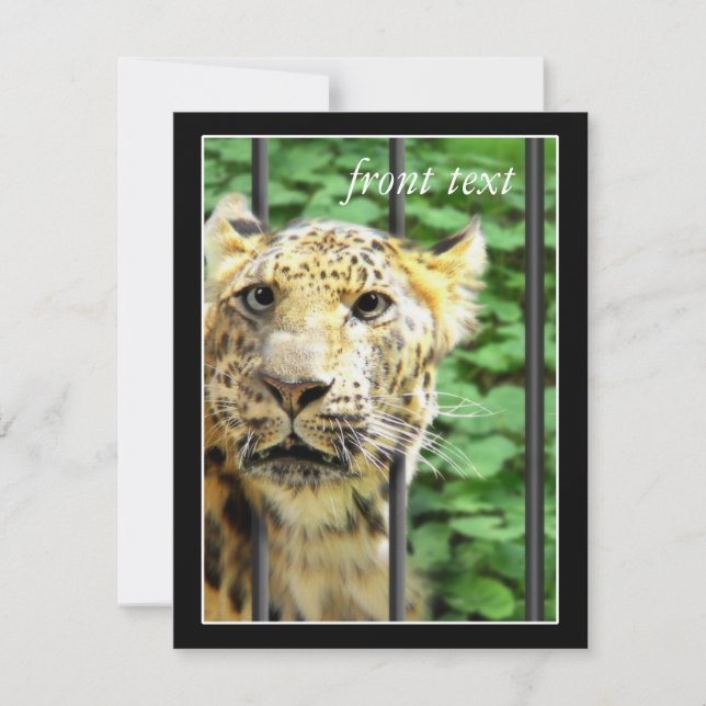 Mishap at the Zoo Invitation (Front)