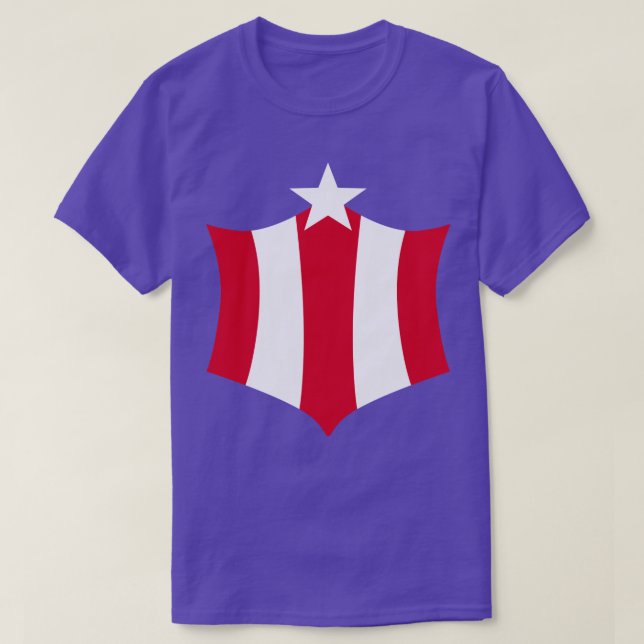 Miss America Costume  T-Shirt (Design Front)