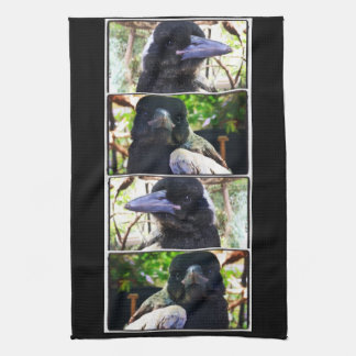 Miss Bub rescued Australian Magpie Tea Towel