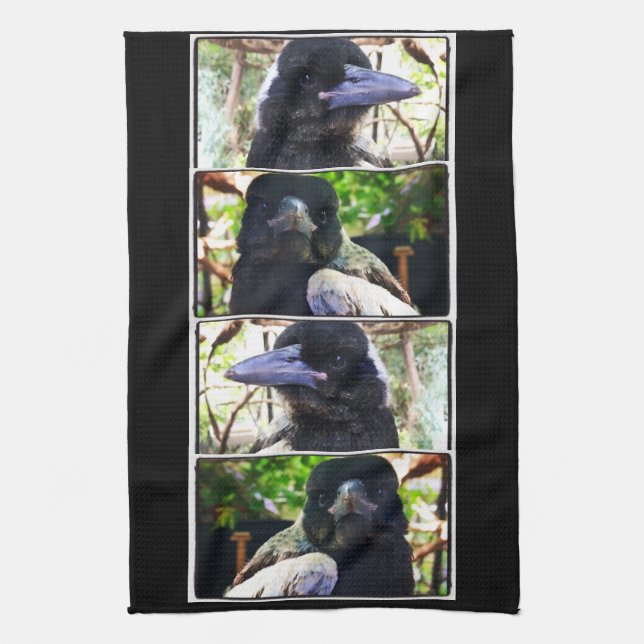 Miss Bub rescued Australian Magpie Tea Towel (Vertical)