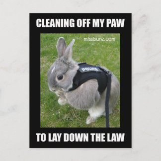 Miss Bunz Cleaning Paw Postcard