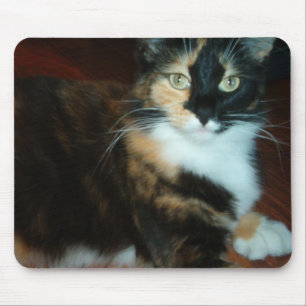 Miss Calico Kitty quality mouse pad