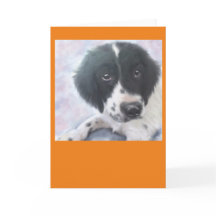 Miss Fannie - English Springer Spaniel - Card