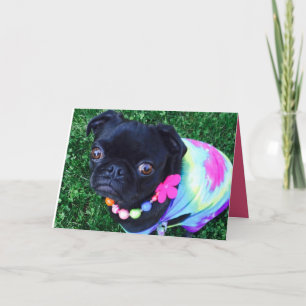 Miss Harley Greeting Card