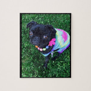 Miss Harley Pug Puzzle