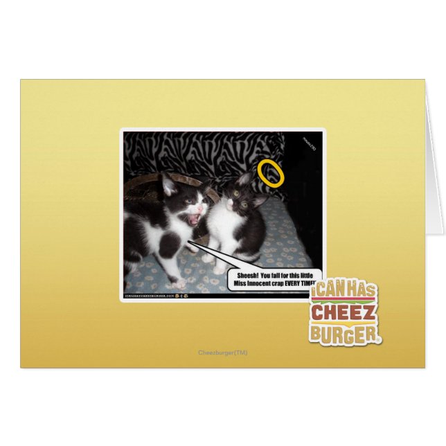 Miss Innocent (Front Horizontal)