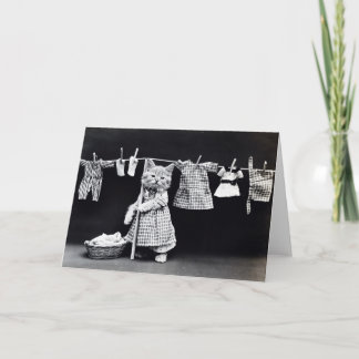 Miss Kitten Doing Laundry Card