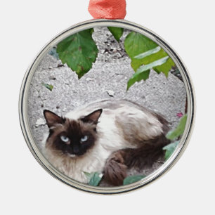 Miss Kitty Digital Painting Metal Tree Decoration