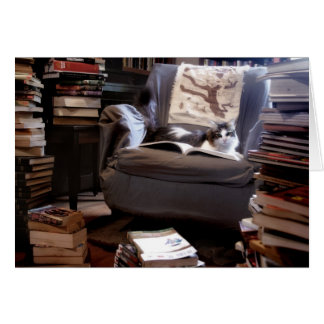 Miss Kitty's Book Collection