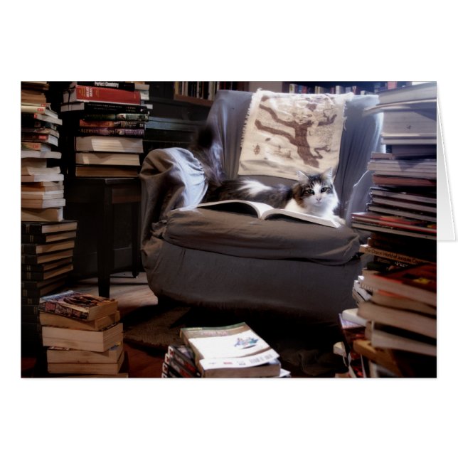 Miss Kitty's Book Collection (Front Horizontal)