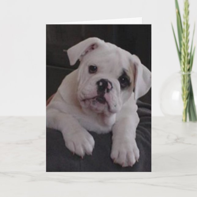 Miss Nala Card (Front)