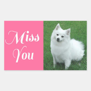 Miss You American Eskimo Puppy Dog Sticker