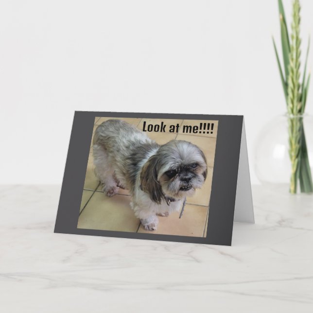 "MISS YOU AT THANKSGIVING" CARD (Front)