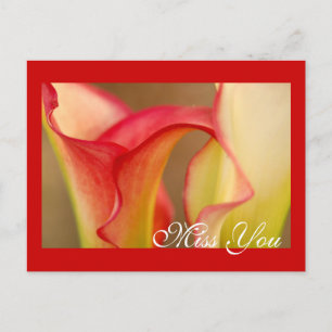 Miss You Calla Lily Postcard