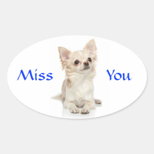 Miss You Chihuahua Puppy Sticker
