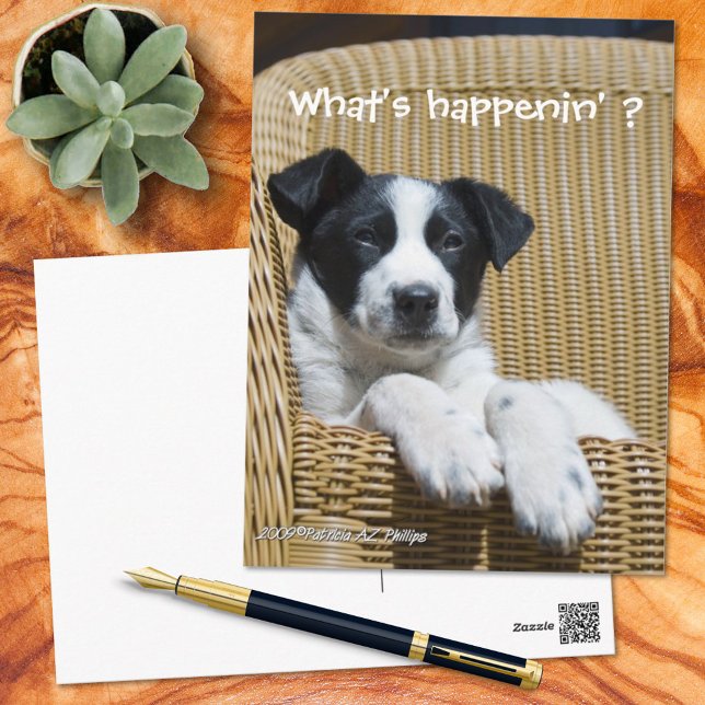 Miss You Cute Black and White Puppy Photo Custom Postcard (Creator Uploaded)