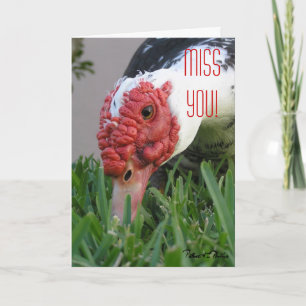 Miss You Eye of the Duck Close-Up Photo Template