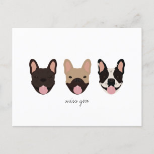 Miss You French Bulldogs Postcard