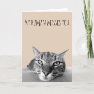 Miss You From Cat Funny Card