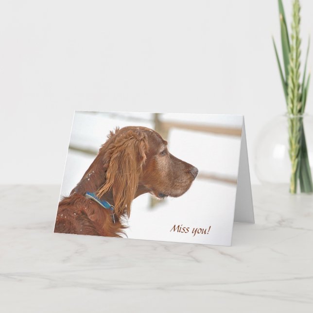 Miss You-Irish Setter in snow Card (Front)