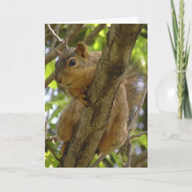 Miss You, Let's Hang Out Soon Squirrel Card (Front)