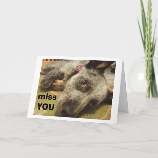 MISS YOU ON YOUR BIRTHDAY SAYS SAD CATTLE DOG CARD (Front)