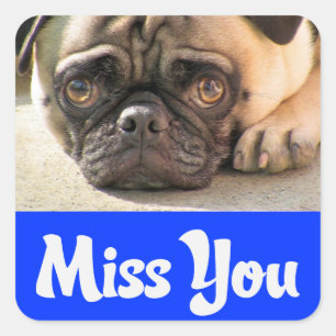 Miss You Pug Puppy Dog Greeting Sticker / Label