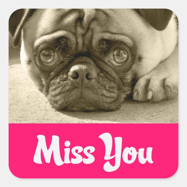 Miss You Pug Puppy Dog Greeting Stickers (Front)