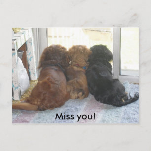 Miss you puppies postcard