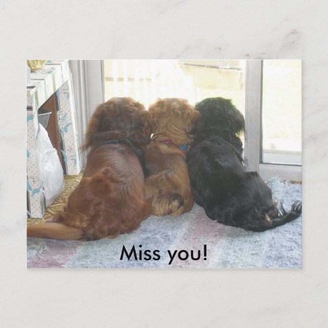 Miss you puppies postcard (Front)