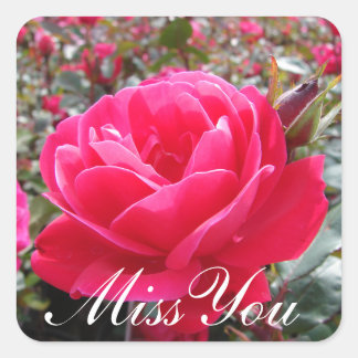 Miss You  Romantic Pink  Rose  Stickers