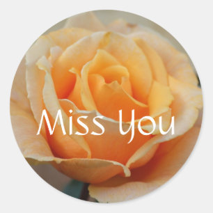 Miss you, rose in Peach Classic Round Sticker