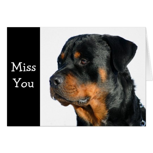 Miss You Rottweiler Dog Greeting Card - Verse