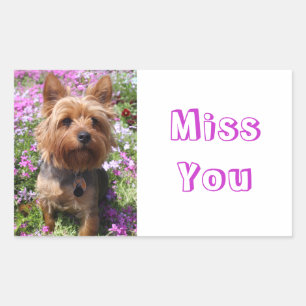 Miss You Yorkshire Terrier Puppy Dog Stickers